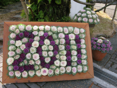 f:id:nekoatama:20110119084516j:image f:id:nekoatama:20110119084516j:image
