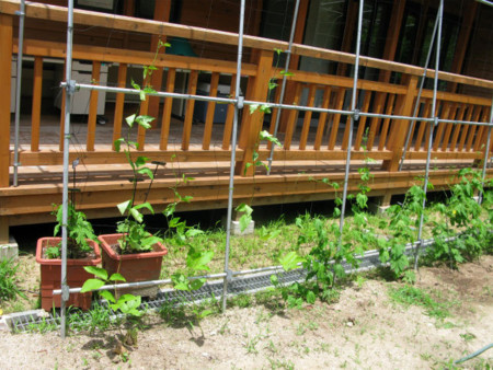 f:id:nekoatama:20110629082112j:image