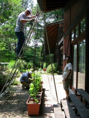 f:id:nekoatama:20110629182055j:image