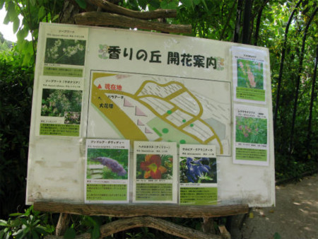 f:id:nekoatama:20110808083528j:image f:id:nekoatama:20110808083528j:image