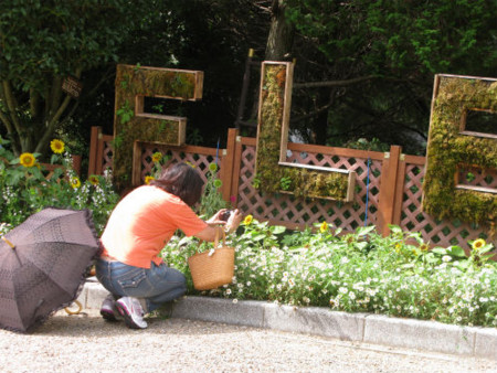 f:id:nekoatama:20110808090521j:image f:id:nekoatama:20110808090521j:image