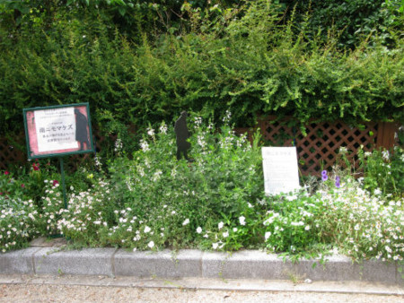 f:id:nekoatama:20110808091435j:image f:id:nekoatama:20110808091435j:image