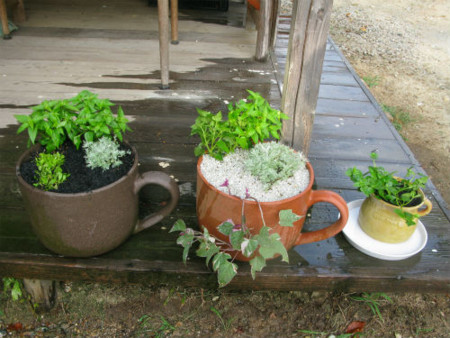 f:id:nekoatama:20110824201354j:image