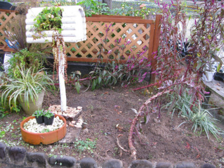 f:id:nekoatama:20111202190924j:image