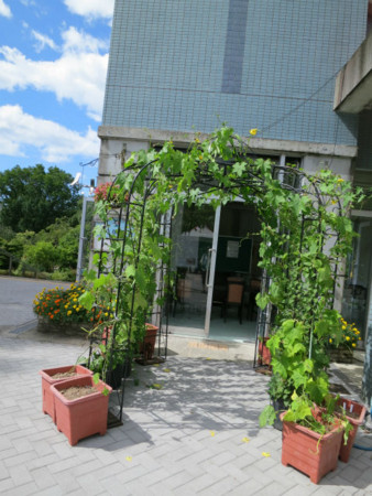 f:id:nekoatama:20120805072407j:image