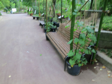 f:id:nekoatama:20120805100619j:image