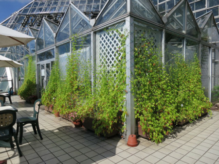 f:id:nekoatama:20120805101525j:image