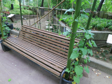 f:id:nekoatama:20120805101621j:image