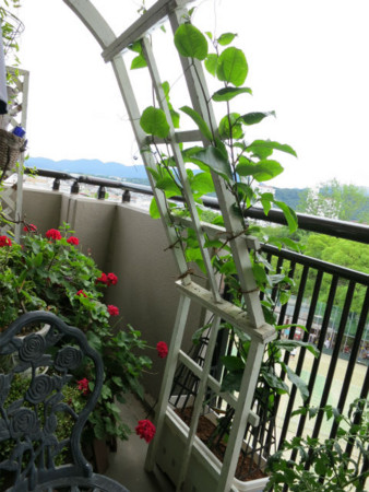 f:id:nekoatama:20120805114226j:image