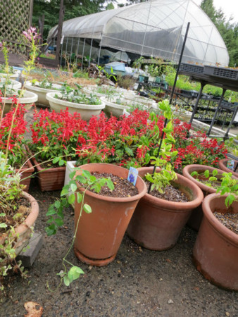 f:id:nekoatama:20120806062823j:image f:id:nekoatama:20120806062823j:image