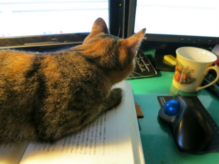 f:id:nekoatama:20120826150552j:image