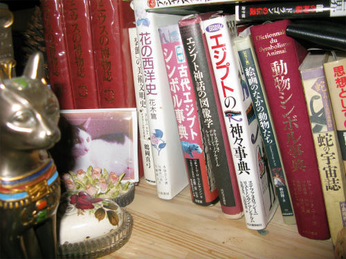 f:id:nekoatama:20130308185731j:image