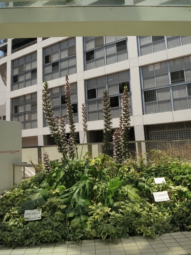 f:id:nekoatama:20130615063607j:image f:id:nekoatama:20130615063607j:image