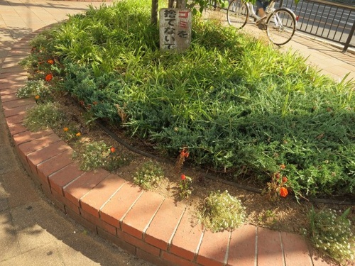 f:id:nekoatama:20130615070448j:image f:id:nekoatama:20130615070448j:image