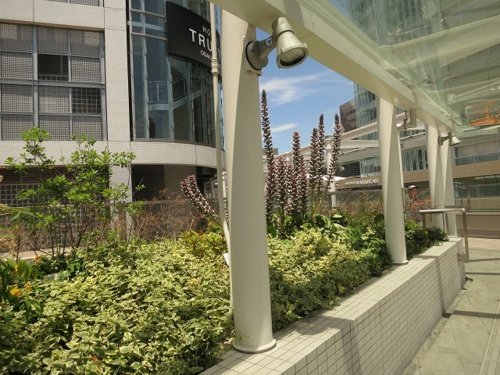 f:id:nekoatama:20130615070457j:image f:id:nekoatama:20130615070457j:image