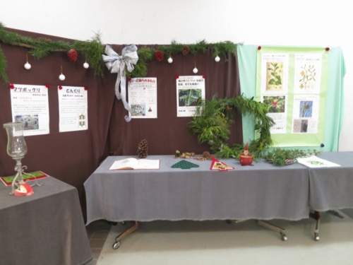 f:id:nekoatama:20131208090950j:image