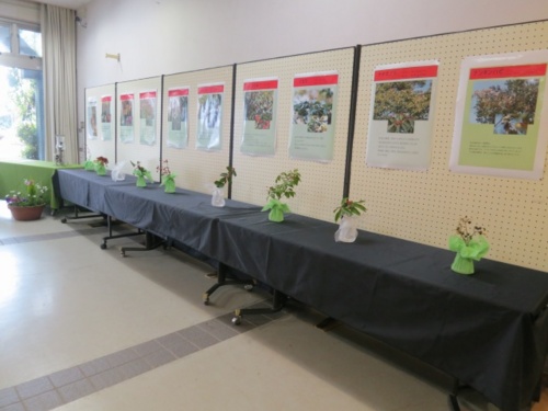 f:id:nekoatama:20141127175316j:image