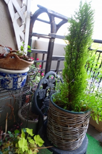 f:id:nekoatama:20150510215033j:image f:id:nekoatama:20150510215033j:image