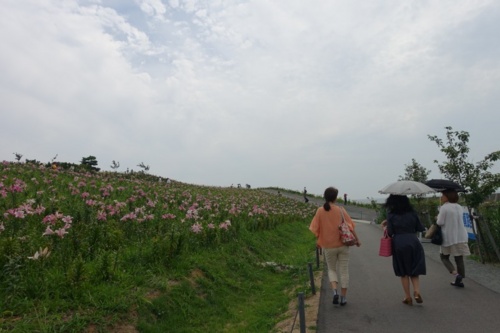 f:id:nekoatama:20150704062753j:image f:id:nekoatama:20150704062753j:image