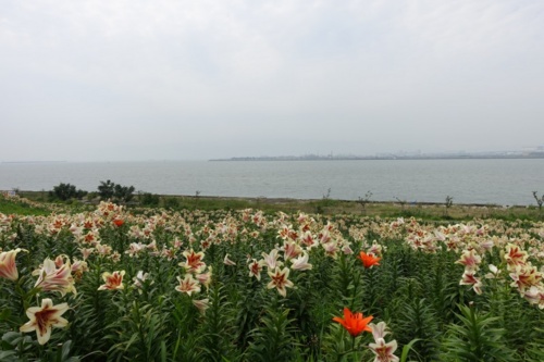 f:id:nekoatama:20150704062754j:image f:id:nekoatama:20150704062754j:image