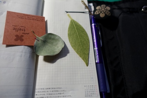 f:id:nekoatama:20151227091456j:image