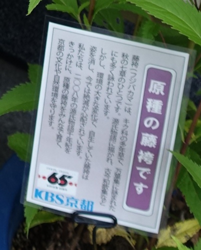 20161005094255