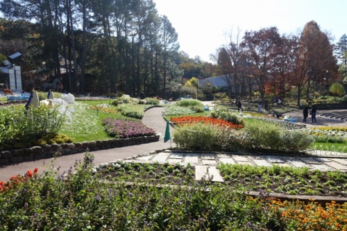 f:id:nekoatama:20161126202948j:image