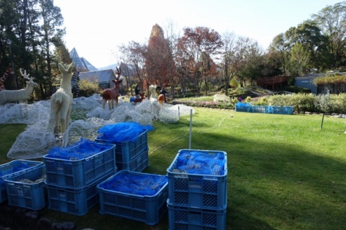 f:id:nekoatama:20161126203307j:image