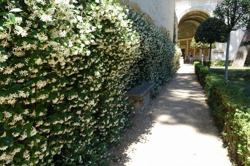 f:id:nekoatama:20170625111927j:plain