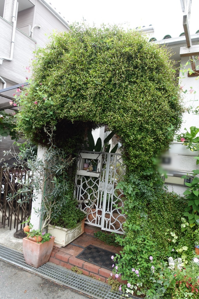 f:id:nekoatama:20170629150747j:plain