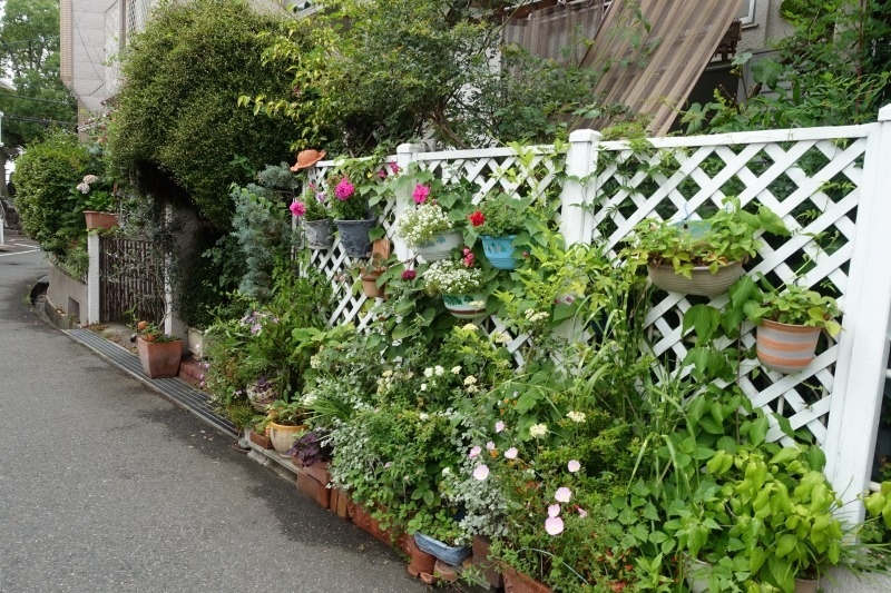 f:id:nekoatama:20170630102734j:plain