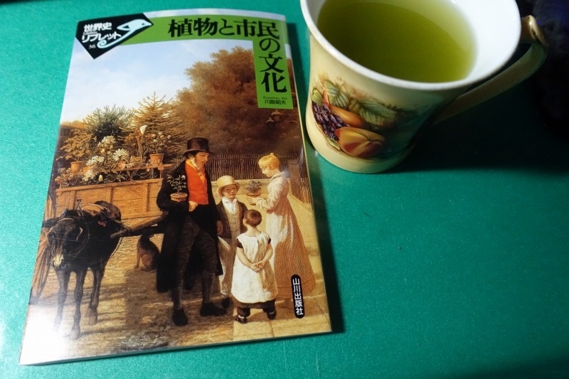 f:id:nekoatama:20180123091847j:plain f:id:nekoatama:20180123091847j:plain