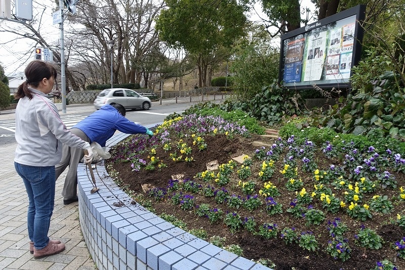 f:id:nekoatama:20180301224533j:plain