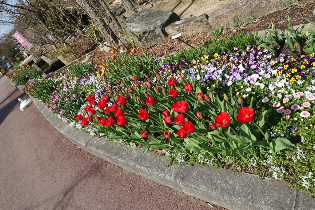 f:id:nekoatama:20180316215648j:plain