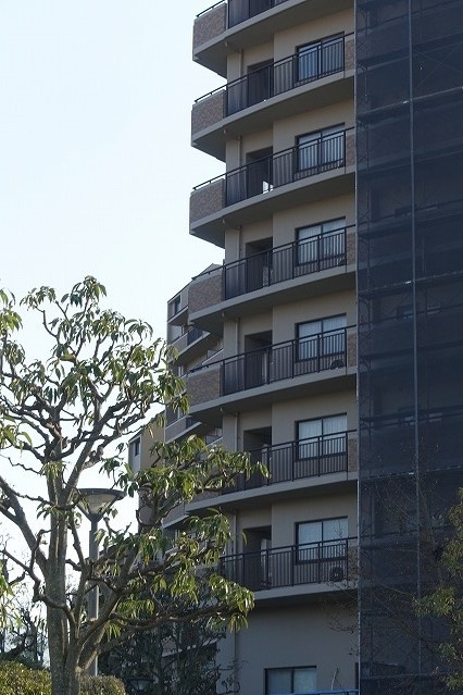 f:id:nekoatama:20180318173440j:plain