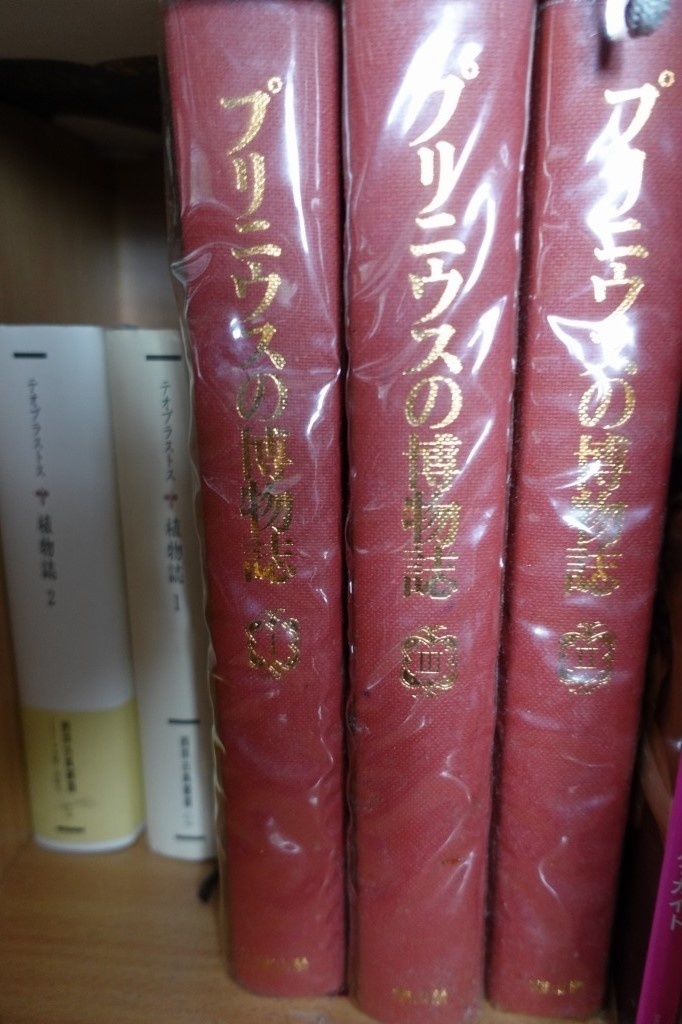 f:id:nekoatama:20200525112440j:plain