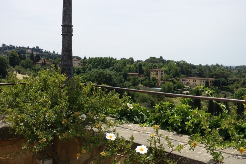 f:id:nekoatama:20200529190230j:plain