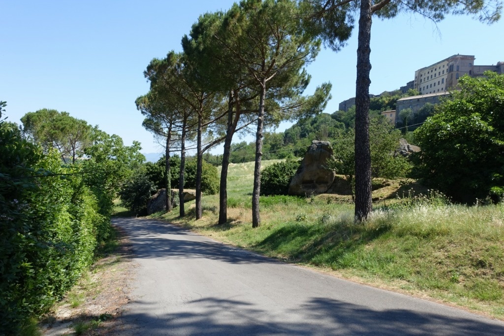 f:id:nekoatama:20200529220012j:plain