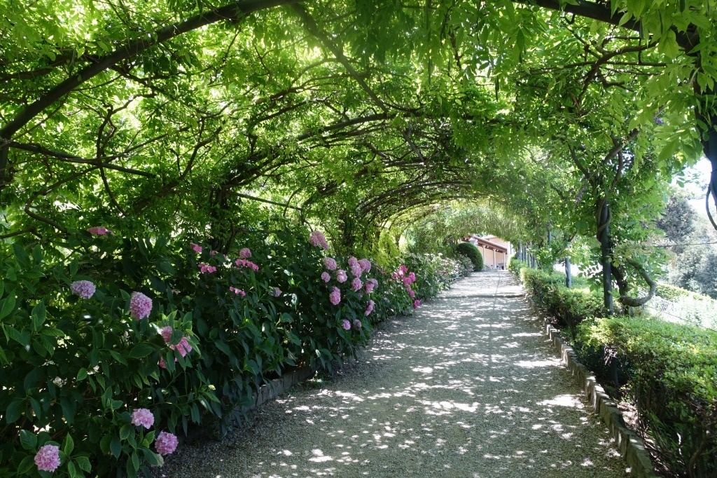 f:id:nekoatama:20200529224010j:plain