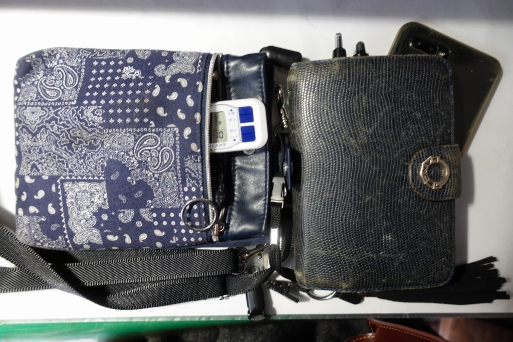 f:id:nekoatama:20210605100417j:plain