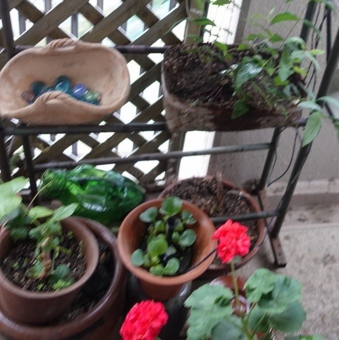 f:id:nekoatama:20210713060255j:plain