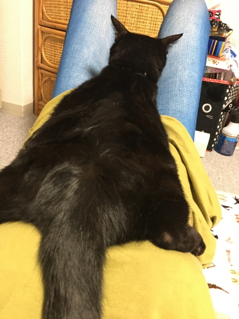 f:id:nekobacafe:20171015110007j:plain f:id:nekobacafe:20171015110007j:plain