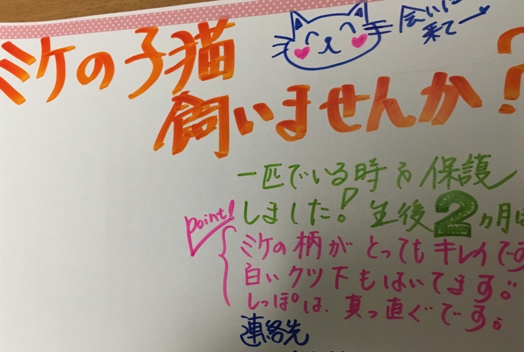 f:id:nekobacafe:20171230105707j:plain f:id:nekobacafe:20171230105707j:plain