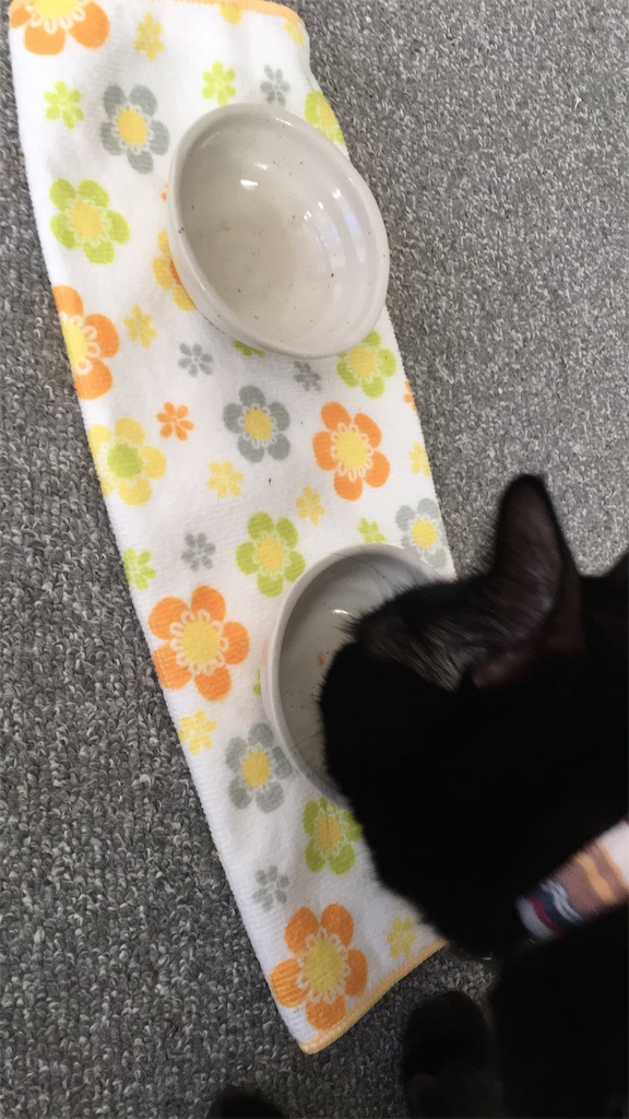 f:id:nekobacafe:20180103121332j:image