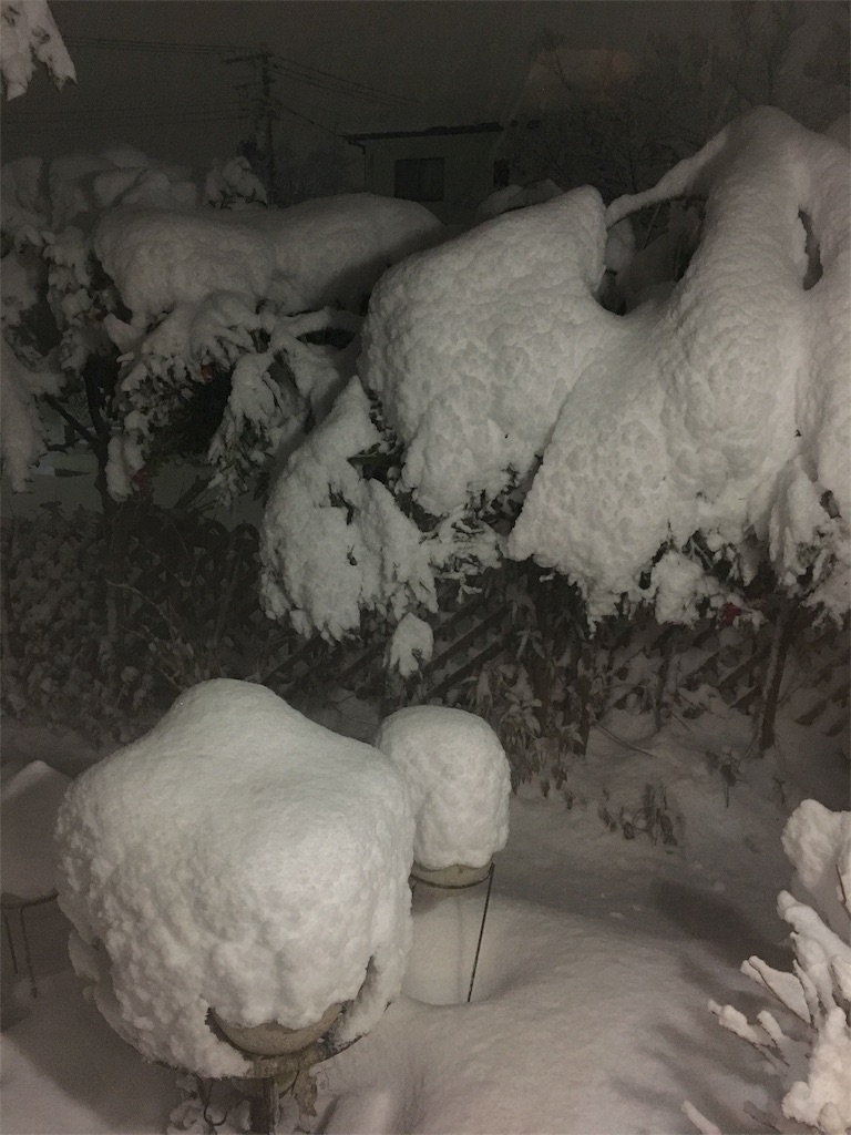 f:id:nekobacafe:20180111224955j:image
