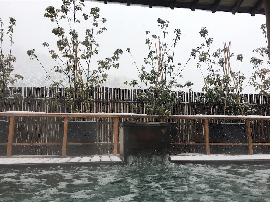 f:id:nekobacafe:20180111225711j:image