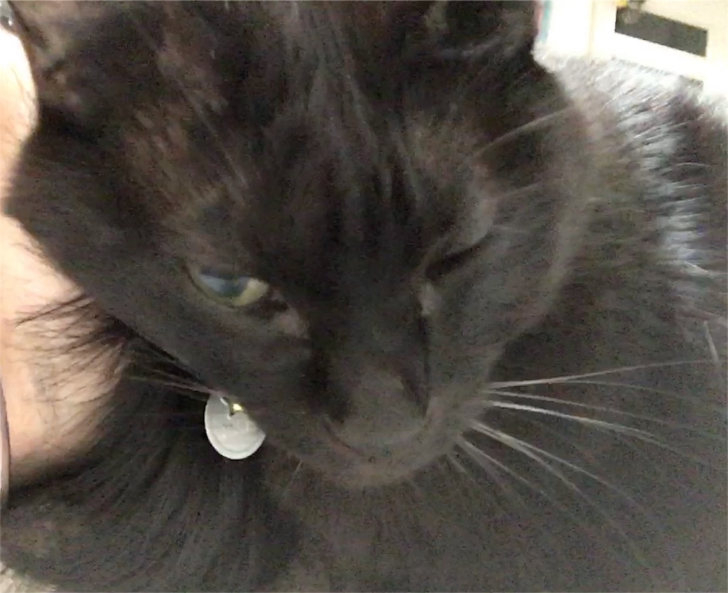 f:id:nekobacafe:20180116101450j:image