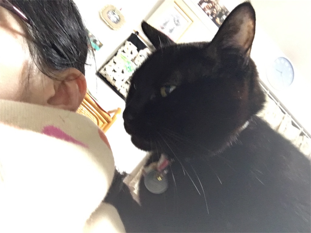 f:id:nekobacafe:20180126202641j:image