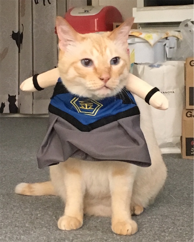 f:id:nekobacafe:20180517140926j:image f:id:nekobacafe:20180517140926j:image