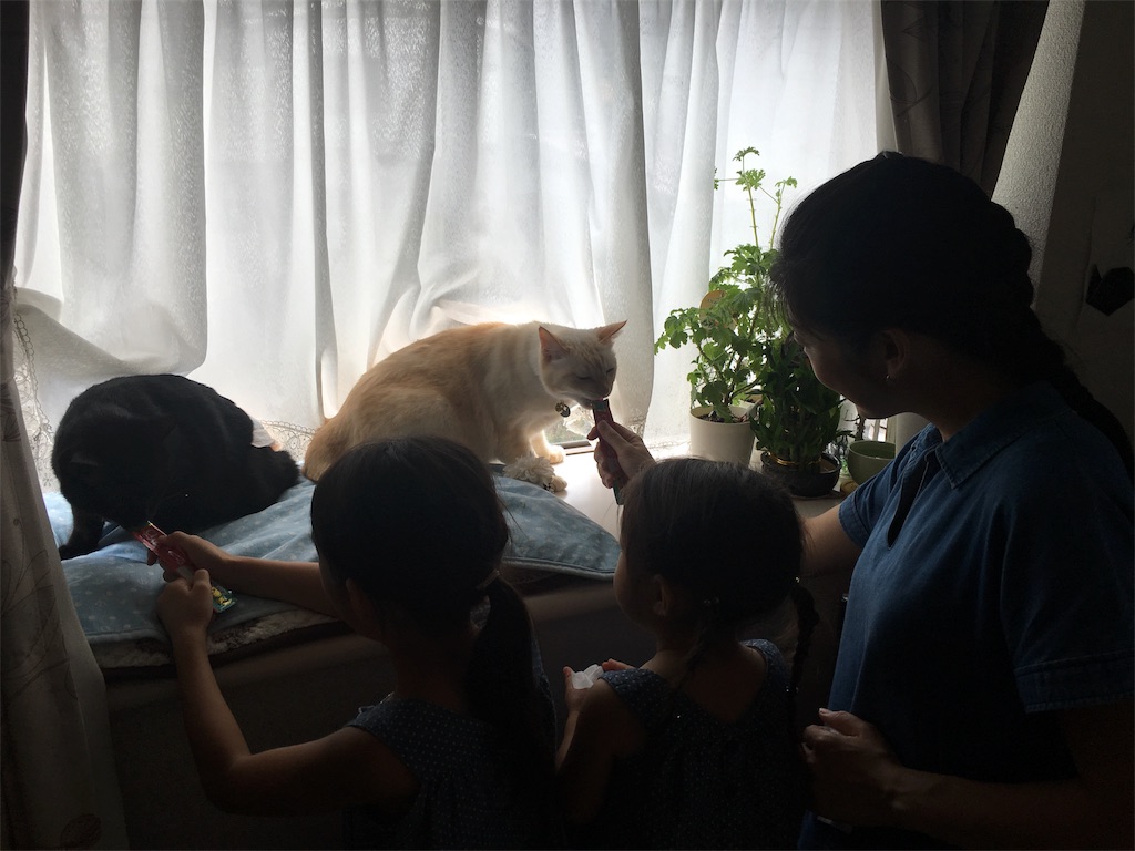 f:id:nekobacafe:20180902111930j:image